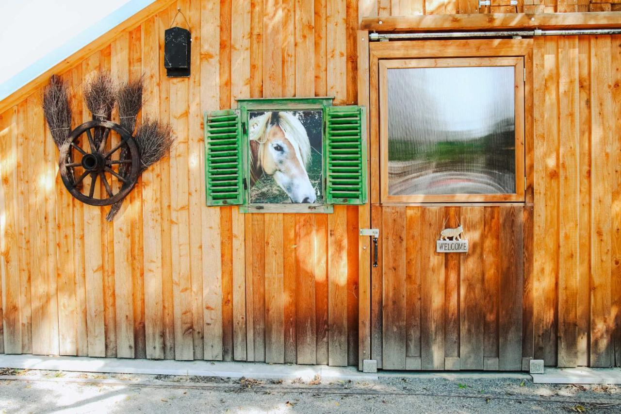 Amd Chalet Stang bei Hatzendorf Kültér fotó